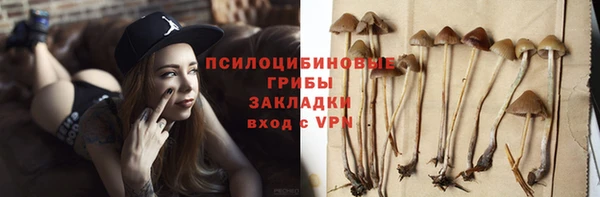 соль курить ск Чекалин