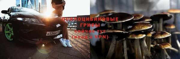 стафф Чердынь