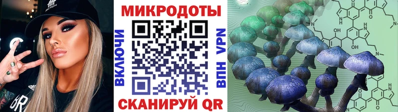 kraken онион  Верхотурье  Псилоцибиновые грибы прущие грибы  закладка 